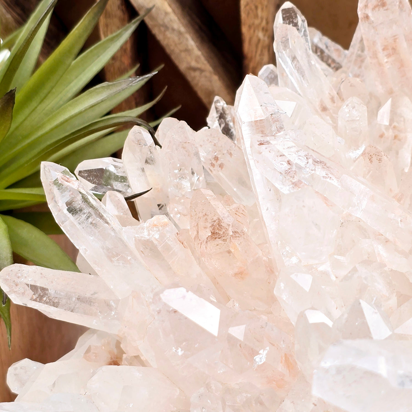 Lemurian Tangerine Quartz - High Grade Crystal Cluster - One-of-a-Kind closeup for detail