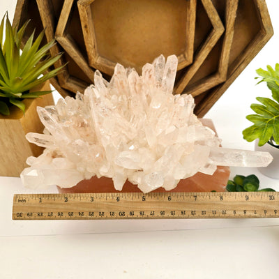 Lemurian Tangerine Quartz - High Grade Crystal Cluster - One-of-a-Kind with ruler for size reference