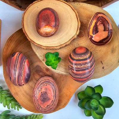 Wave Dolomite Palm Stone - You Choose all variants on wooden platters with succulents