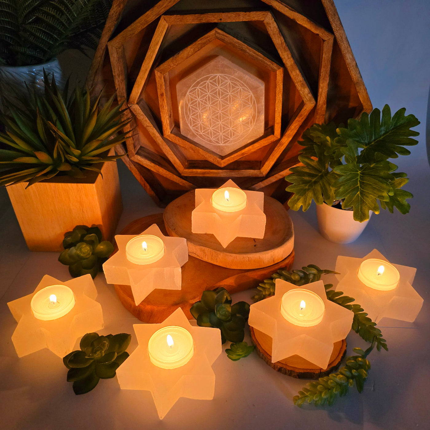 Selenite Six-Pointed Star Candle Holder in dim lighting with candles lit with props and plants in the background