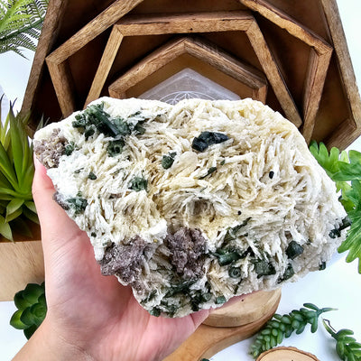 Green Tourmaline Crystals on Albite Matrix - One-of-a-Kind in hand for size reference with plants and props in the background