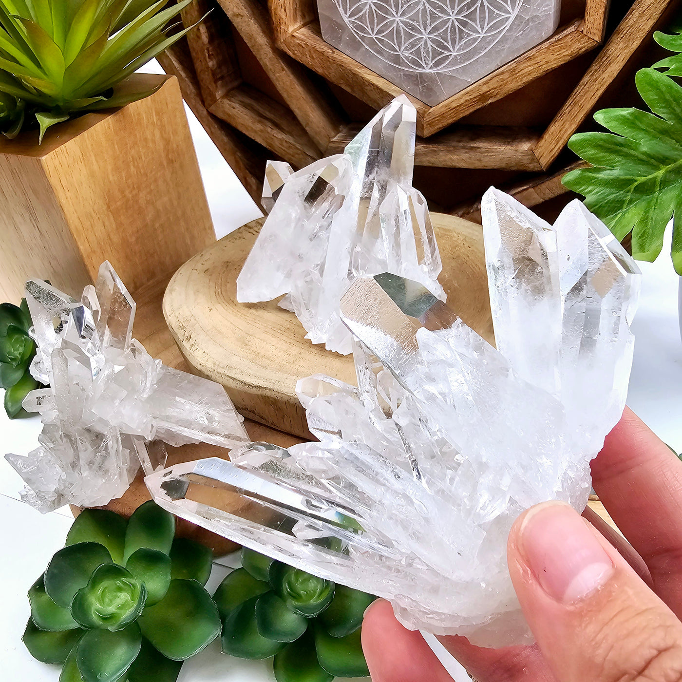 Crystal Quartz Cluster High Grade - You Choose - variant 2 in hand for size reference with other variants in the background with plants and props