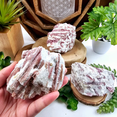 Pink Tourmaline Crystal on Aquamarine Matrix - You Choose variant B in hand with other variants in the background with plants and props