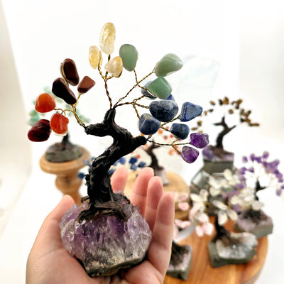 Tumbled Gemstone Tree with Amethyst Crystal Base - You Choose Stone - Chakra variant in hand for size reference with other variants in the background