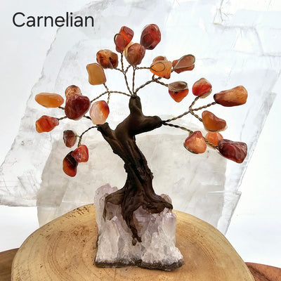 Tumbled Gemstone Tree with Amethyst Crystal Base - You Choose Stone Carnelian tree labeled