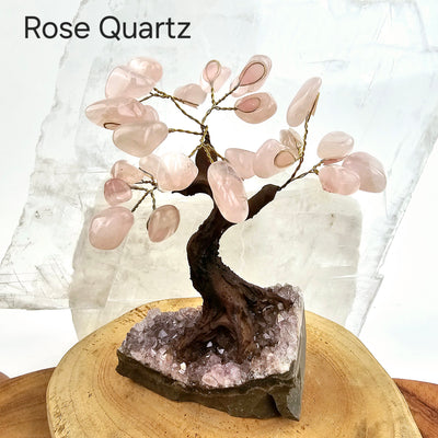 Tumbled Gemstone Tree with Amethyst Crystal Base - You Choose Stone Rose Quartz labeled