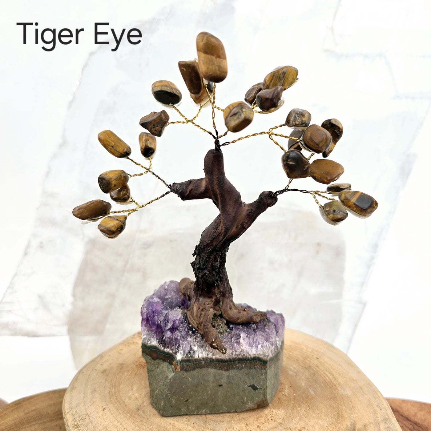 Tumbled Gemstone Tree with Amethyst Crystal Base - You Choose Stone Tiger Eye tree labeled