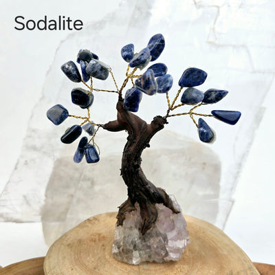 Tumbled Gemstone Tree with Amethyst Crystal Base - You Choose Stone Sodalite tree labeled