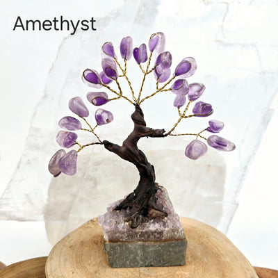 Tumbled Gemstone Tree with Amethyst Crystal Base - You Choose Stone Amethyst tree labeled