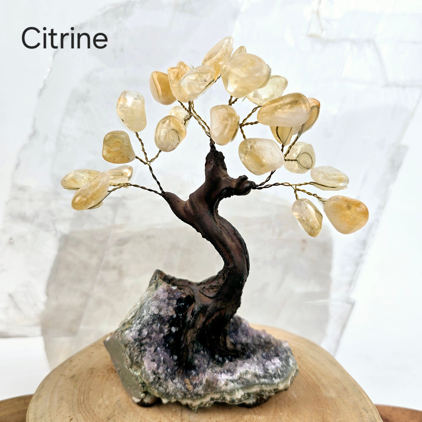 Tumbled Gemstone Tree with Amethyst Crystal Base - You Choose Stone Citrine tree labeled