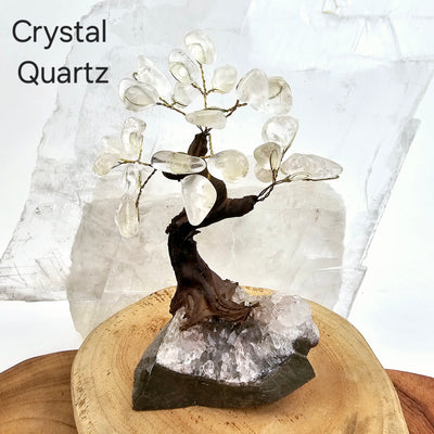 Tumbled Gemstone Tree with Amethyst Crystal Base - You Choose Stone Crystal Quartz tree labeled