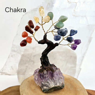 Tumbled Gemstone Tree with Amethyst Crystal Base - You Choose Stone Chakra tree labeled