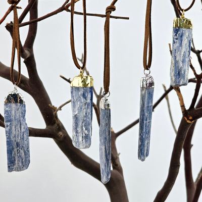 Blue Kyanite Crystal Ornament with Silver or Gold Cap - You Choose Finish - both silver and gold variants hanging on tree branches