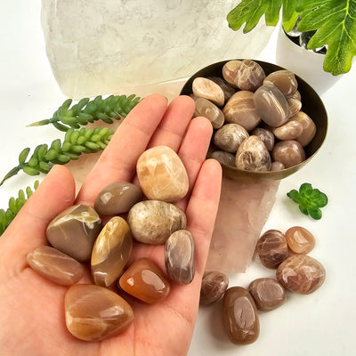 Peach Moonstone Tumbled Stones - Medium Size - 1/2 lb or 1 lb in hand for size reference with other stones in bowl and on platter with plants and props in the background