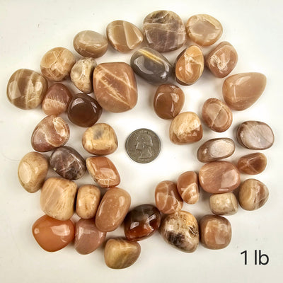 Peach Moonstone Tumbled Stones - Medium Size - 1 lb variant with quarter for size reference