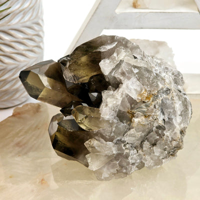 Smokey Citrine Natural Crystal Cluster #1 front view on quartz platter with props in the background