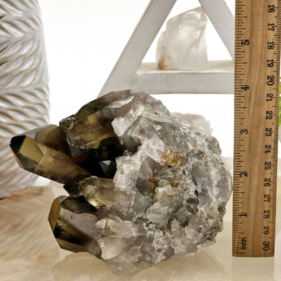 Smokey Citrine Natural Crystal Cluster #1 front view with ruler for size reference