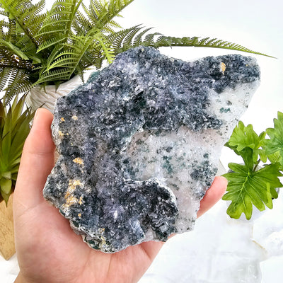 Chlorite Crystal Quartz Cluster #3 in hand for size reference with plants and props in the background