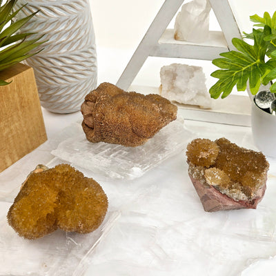 Yellow Calcite Crystal Cluster - You Choose all variants on selenite platters with props and plants in the background