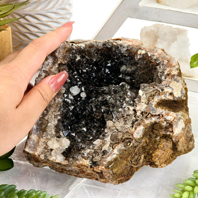 Black Amethyst Crystal Geode Half with hand for size reference