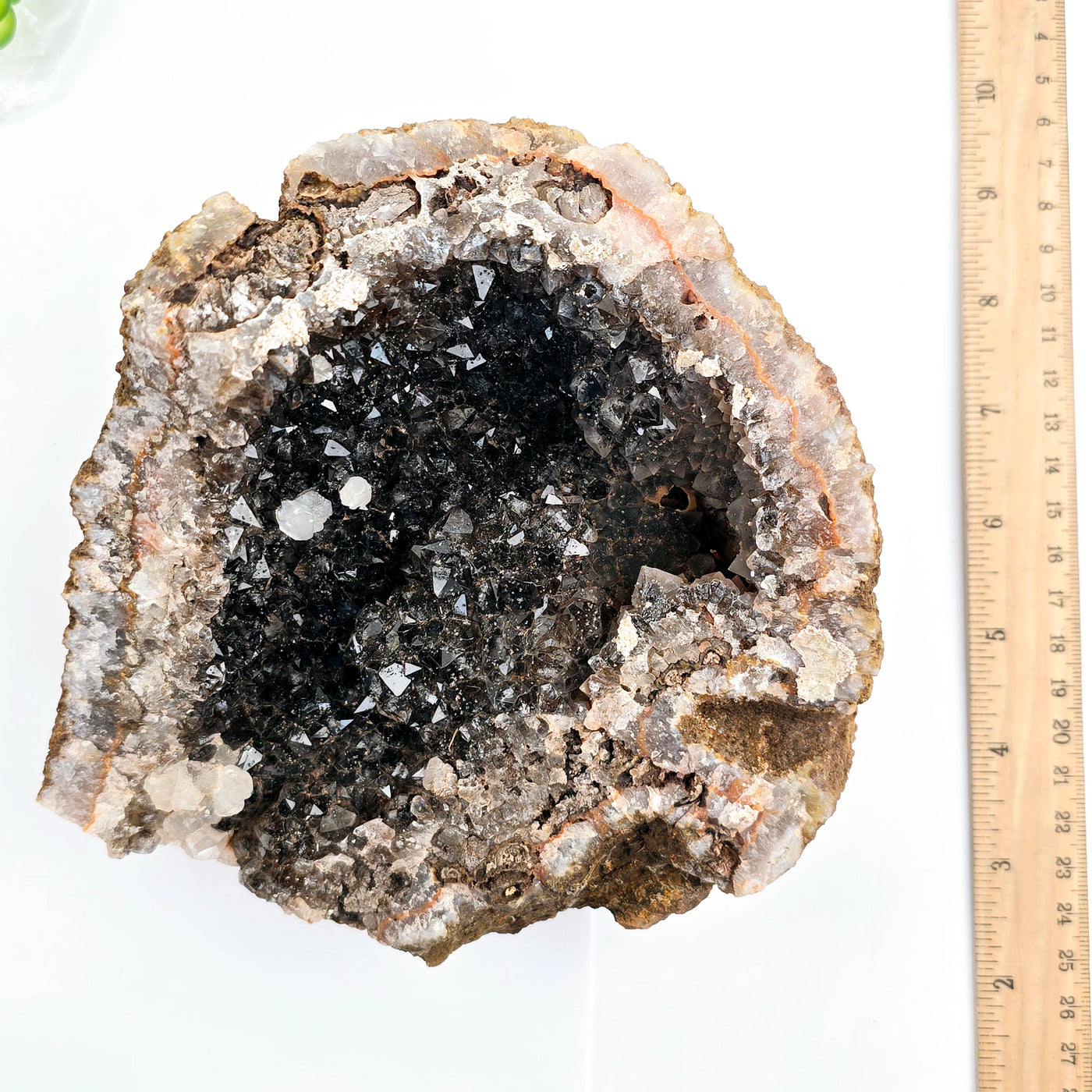 Black Amethyst Crystal Geode Half with ruler for size reference top view