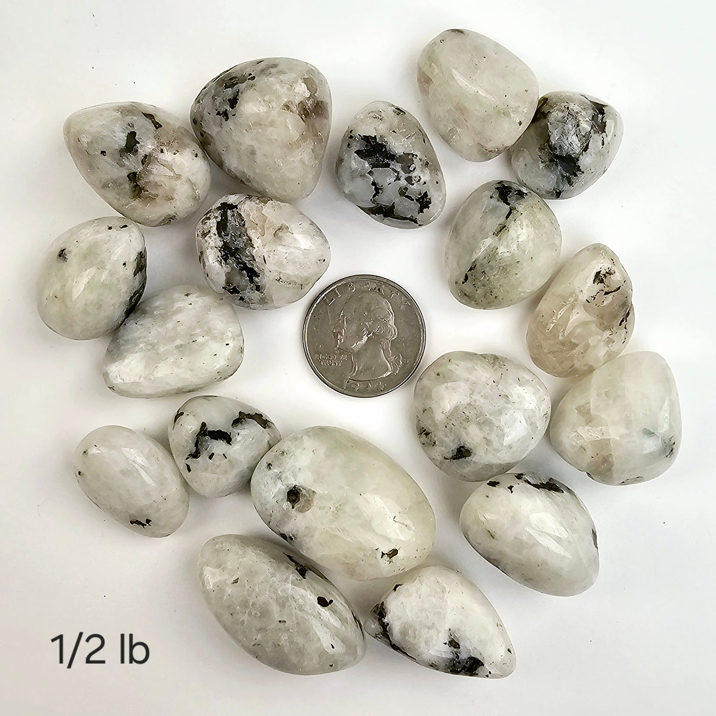 White Moonstone Tumbled Stones - Medium Size - 1/2 lb labeled with quarter for size reference