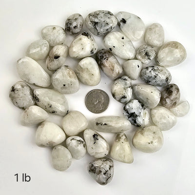 White Moonstone Tumbled Stones - Medium Size -  1 lb labeled with quarter for size reference