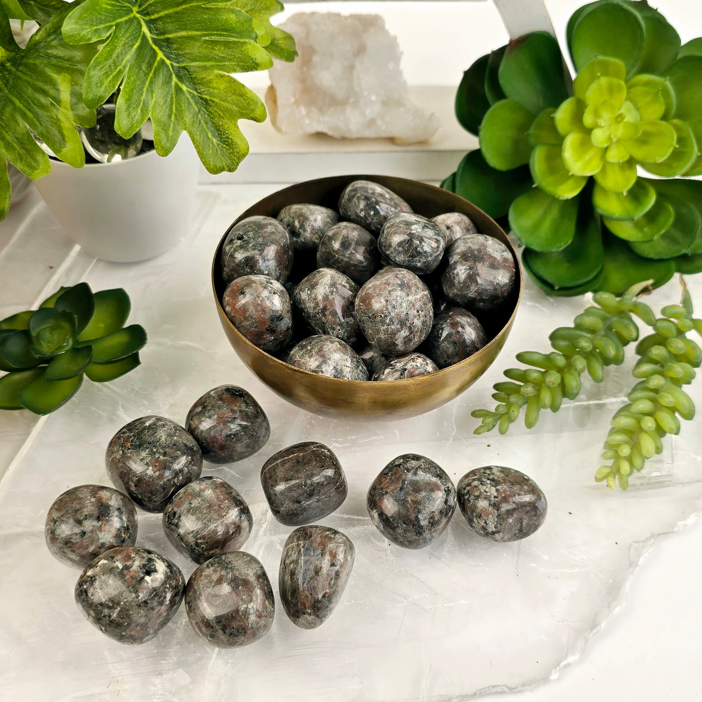 Yooperlite Tumbled Stones - Medium Size - 1/2 lb or 1 lb - UV Reactive! stones in bowl and on selenite platter with plants and props in background