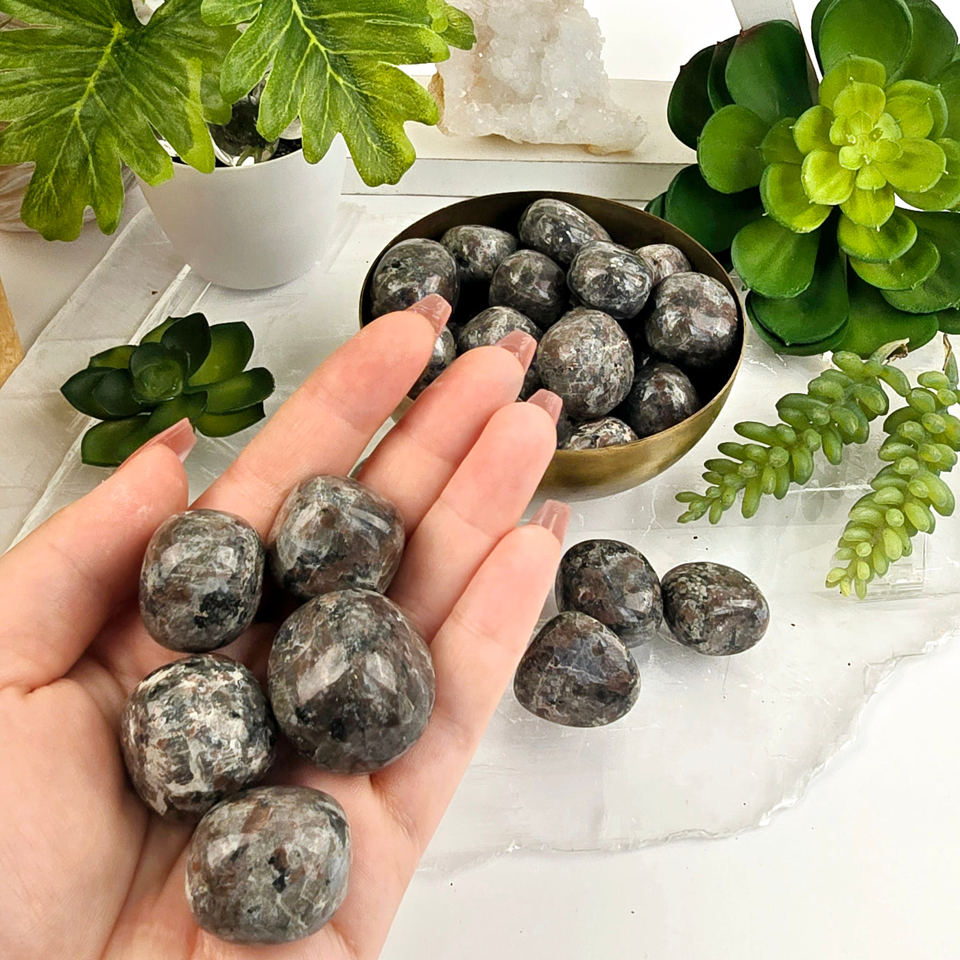 Yooperlite Tumbled Stones - Medium Size - 1/2 lb or 1 lb - UV Reactive! in natural lighting with other stones in bowl with plants and props in background