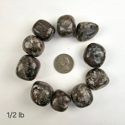 Yooperlite Tumbled Stones - Medium Size - 1/2 lb or 1 lb - UV Reactive! 1/2 lb variant labeled with quarter for size reference