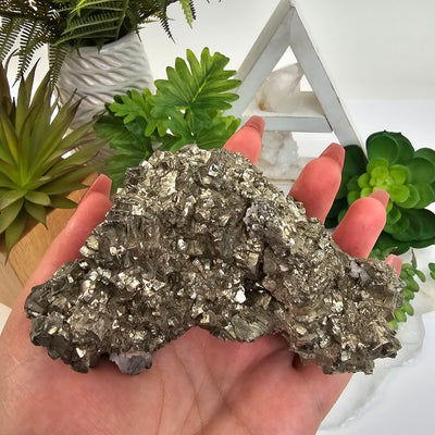 Pyrite with Barite Crystal Specimen #1 in hand for size reference with props and plants in background