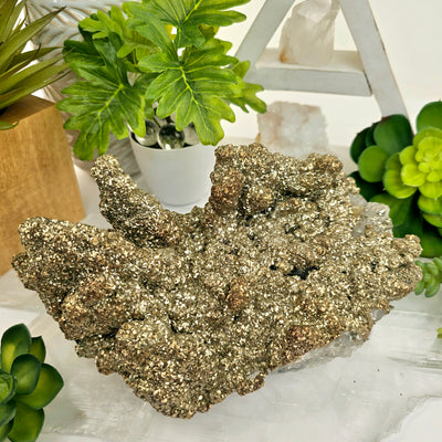 Pyrite on Quartz Crystal Specimen on selenite platter with plants and props in the background