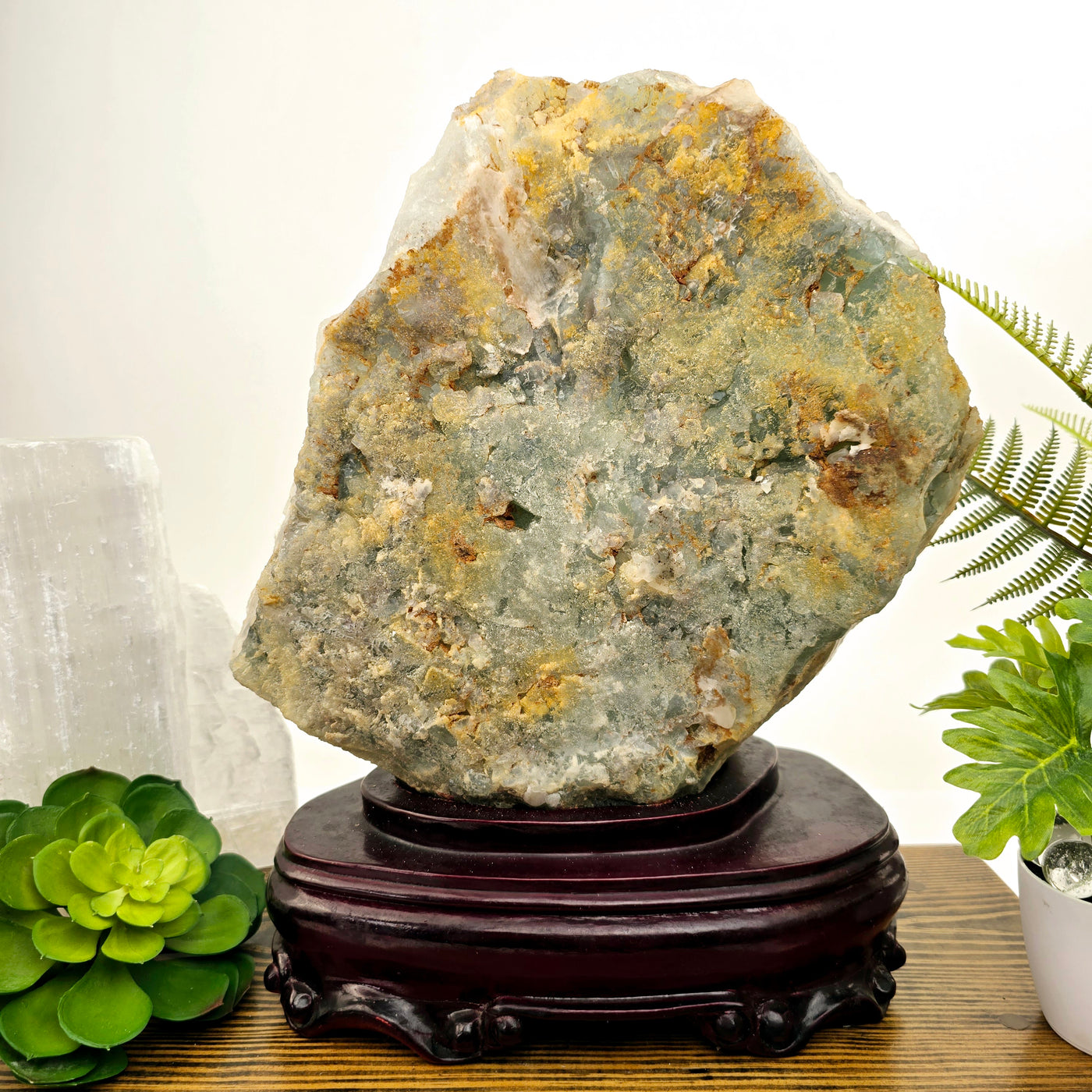 Large Cubic Fluorite Crystals on Matrix with Wooden Stand - Rare Find back view with plants and props in the background