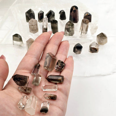 Lodalite - Garden Quartz - Small Polished Crystal Points in hand for size reference with others in the background