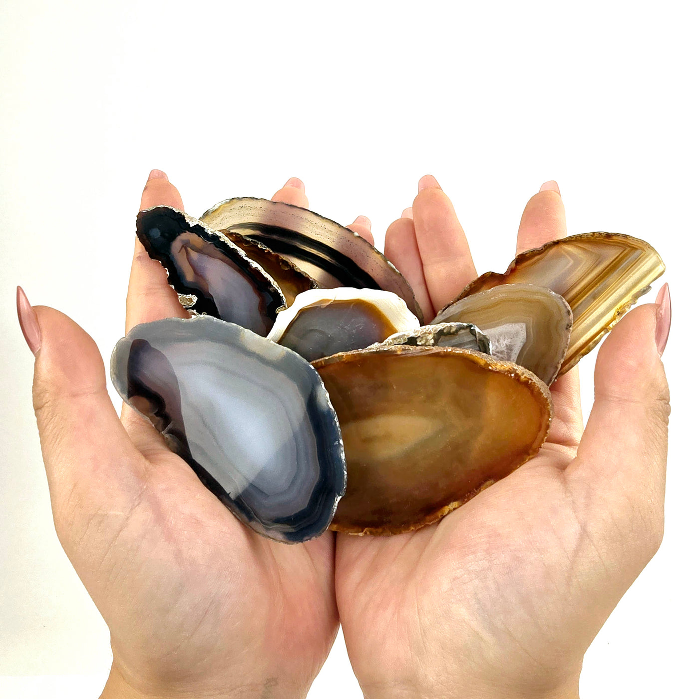 Natural Agate Slice (Size 1) - slices resting in hands for size reference