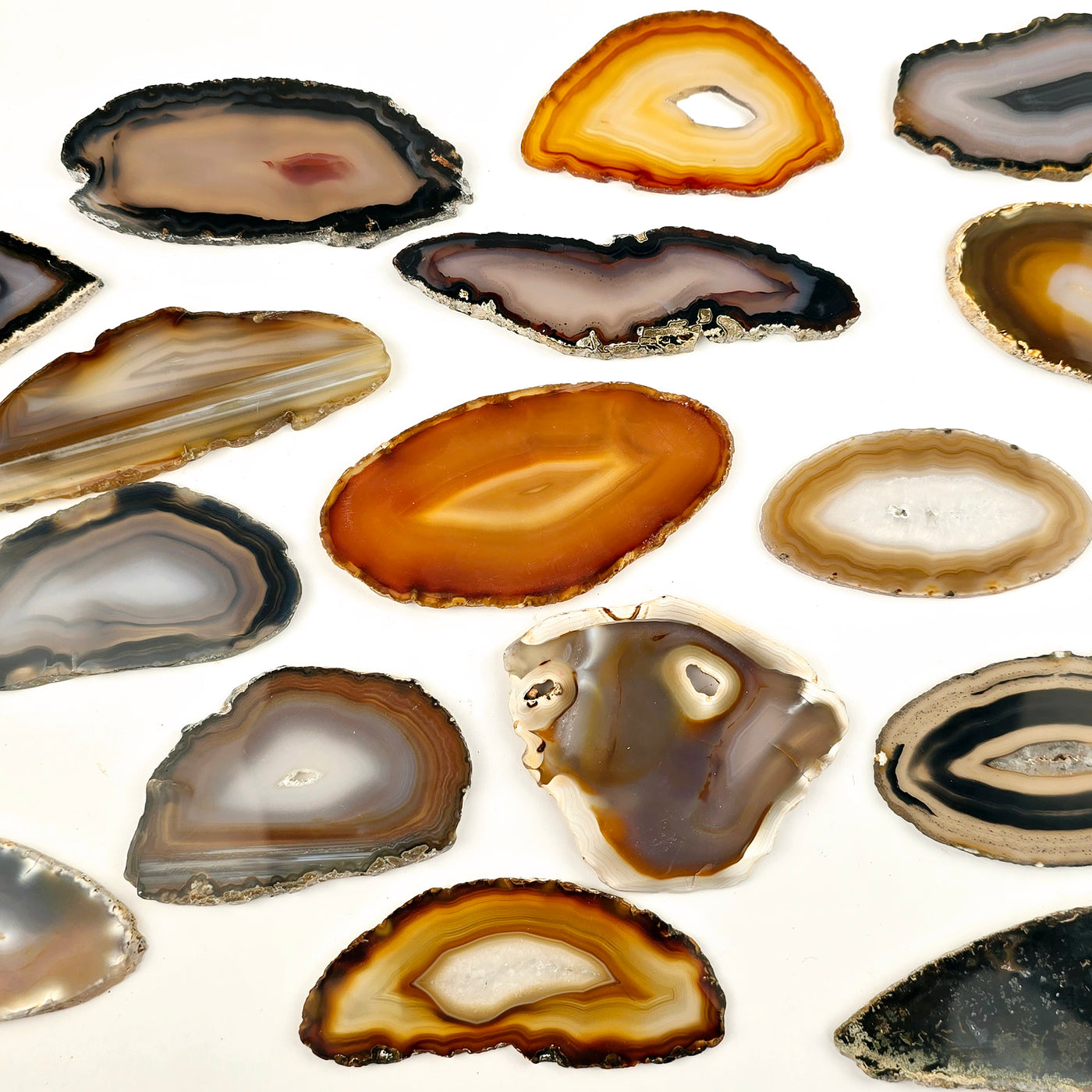 Natural Agate Slice (Size 1) - slices arranged on white background