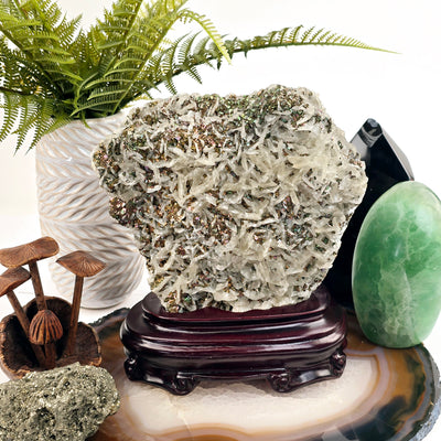 Pyrite and Calcite Crystal Cluster with Wooden Stand #2 on agate platter with props and plants in the background