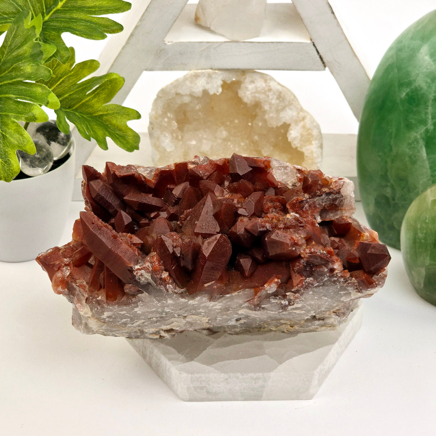 Red Hematite Quartz - Natural Crystal Cluster #1 front view on selenite platter with plants and props in the background