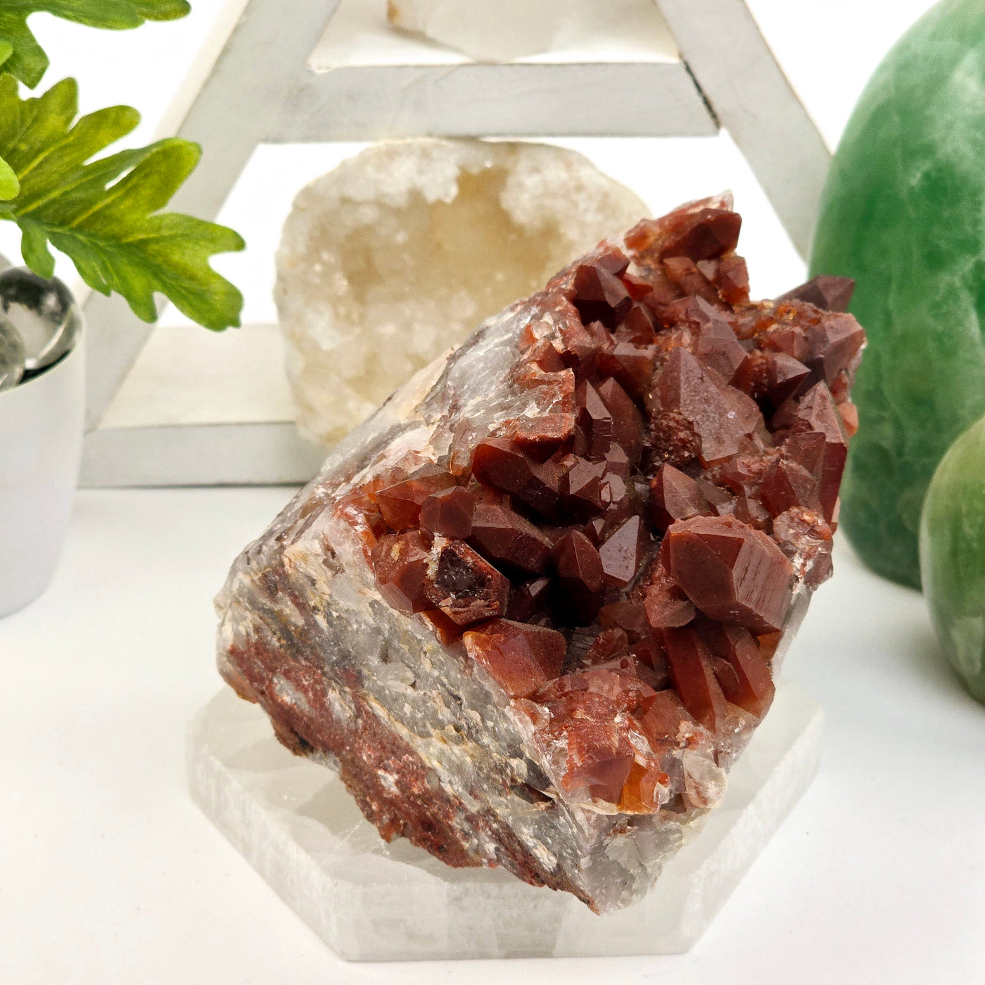 Red Hematite Quartz - Natural Crystal Cluster #1 side view on selenite platter with plants and props in the background