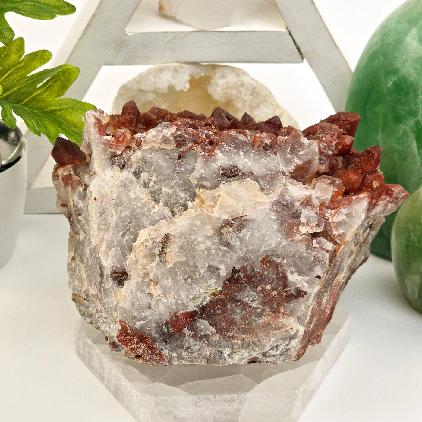 Red Hematite Quartz - Natural Crystal Cluster #1 back view on selenite platter with plants and props in the background