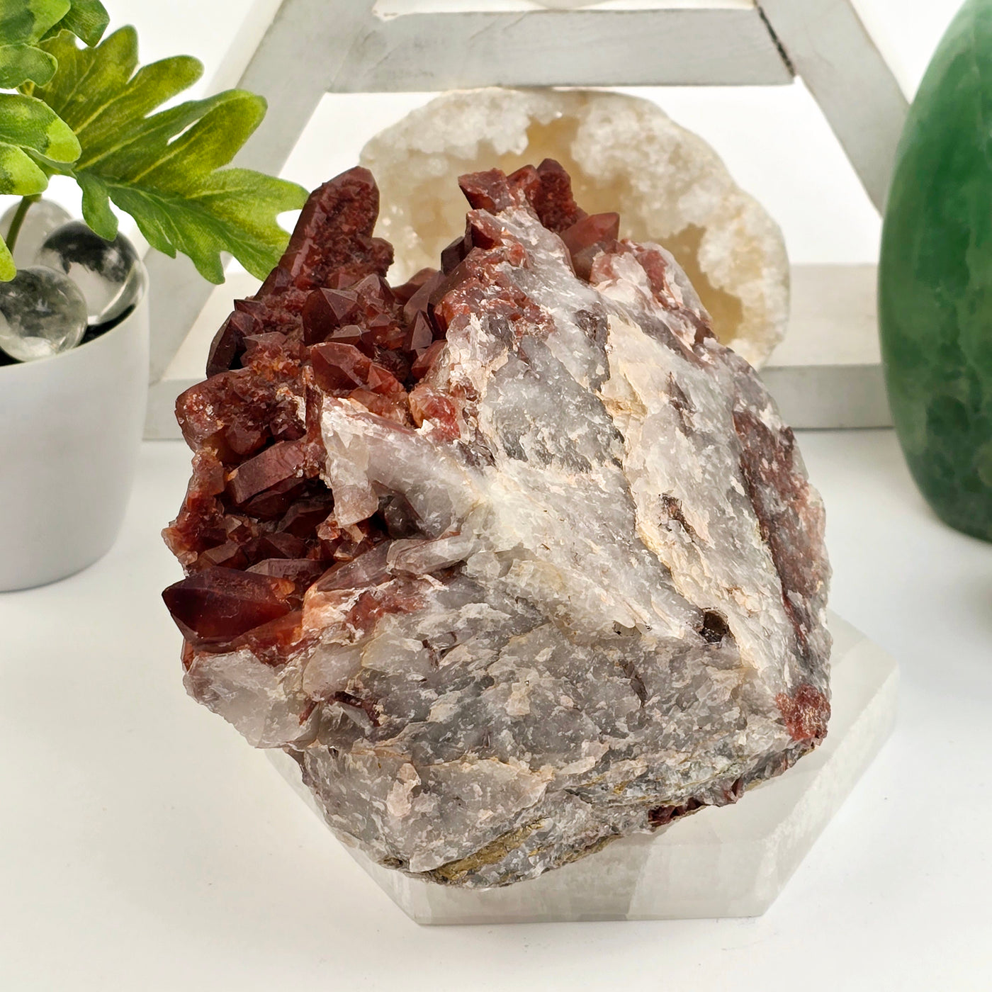 Red Hematite Quartz - Natural Crystal Cluster #1 front view on selenite platter with plants and props in the background