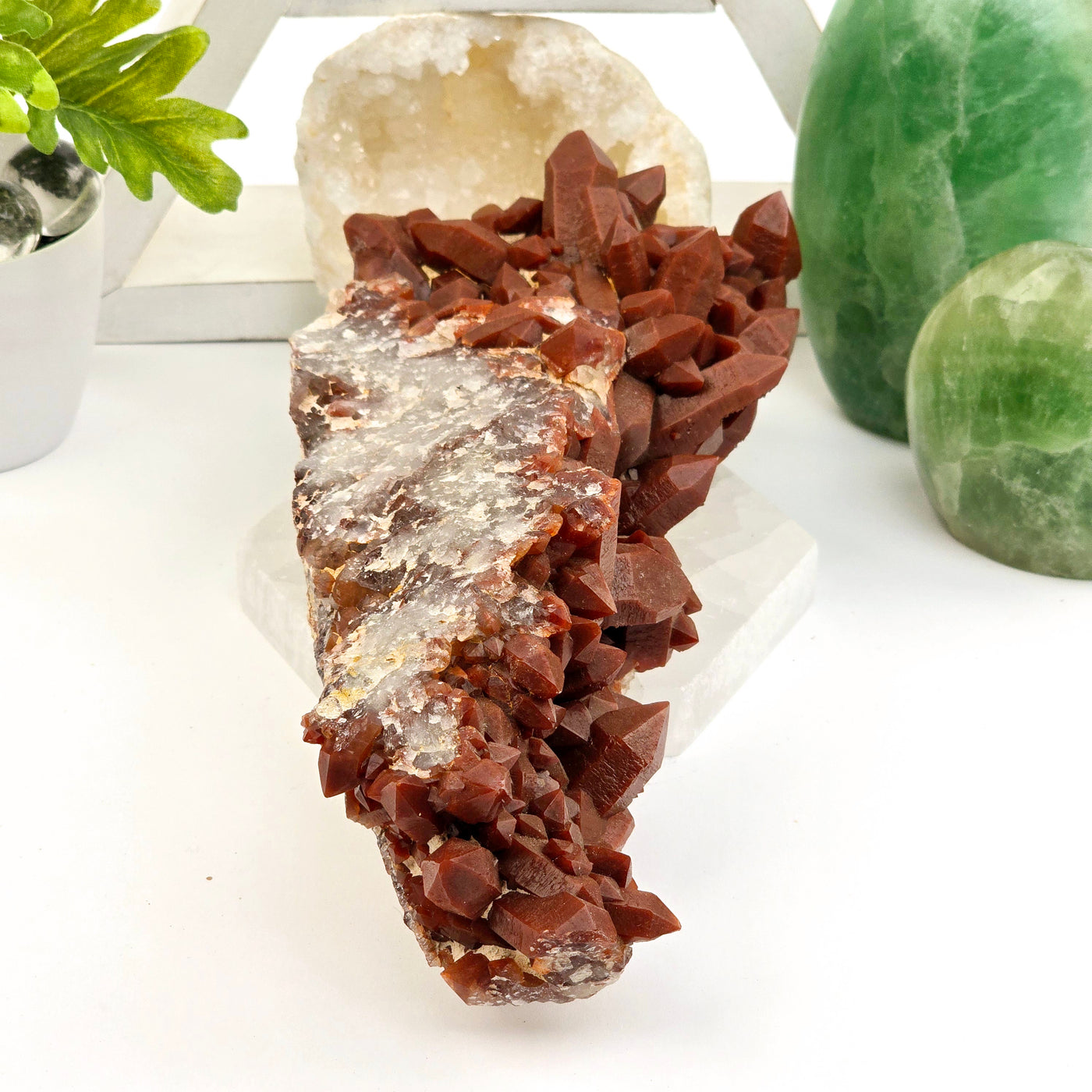 Red Hematite Quartz - Natural Crystal Cluster #2 side view with props and plants in the background