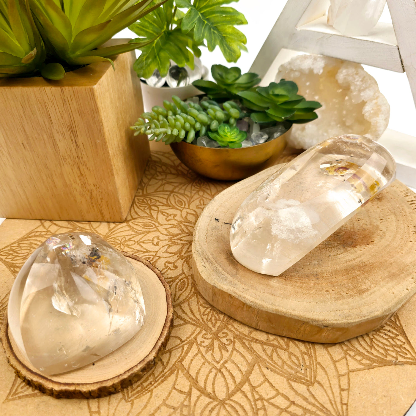 Crystal Quartz Freeform Lens with Natural Crackle and Hematoid Inclusions - You Choose both variants on wooden platters with plants and props in the background