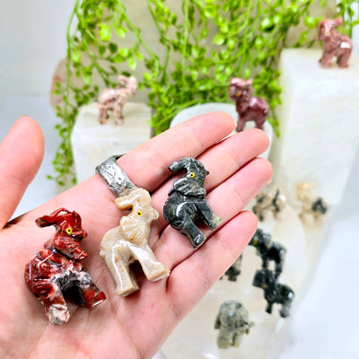 Soapstone Elephant Carving from Peru - You Choose Color - all variants in hand for size reference with other variants in background with props and plants