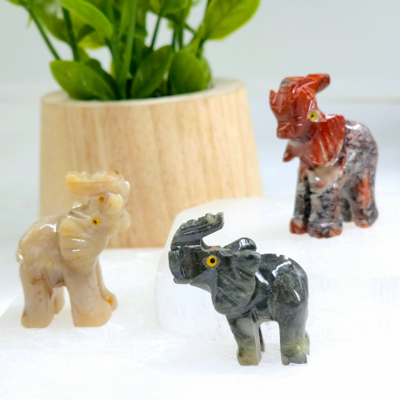 Soapstone Elephant Carving from Peru - You Choose Color all variants on white background with plant