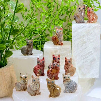 Soapstone Cat Carving from Peru - You Choose Color both variants of cats arranged on stone platters and columns with plants and props in the background