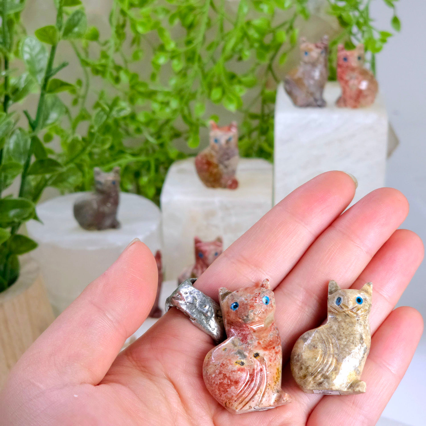 Soapstone Cat Carving from Peru - You Choose Color in hand for size reference with other cats in the background with props and plants