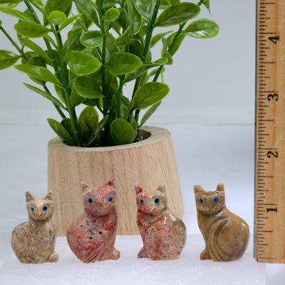 Soapstone Cat Carving from Peru - You Choose Color both variants with ruler for size reference