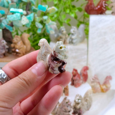 Soapstone Squirrel Carving from Peru - You Choose Color - Gray squirrel in hand for size reference with other variants in the background with props and plants