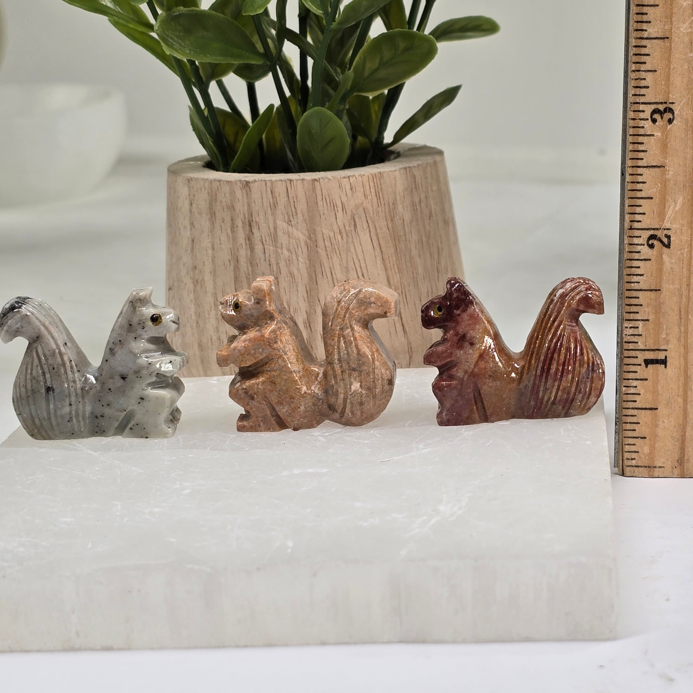 Soapstone Squirrel Carving from Peru - You Choose Color all variants with ruler for size reference